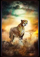 Gepard - Krafttierkarte 15