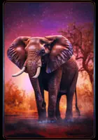 Elefant - Krafttierkarte 20