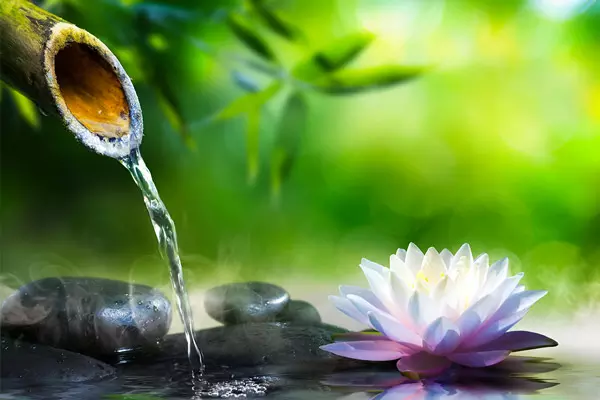 Zen Bild einer Lotusblüte im Wasser