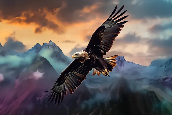 Ein Adler kreist über ein Gebirge